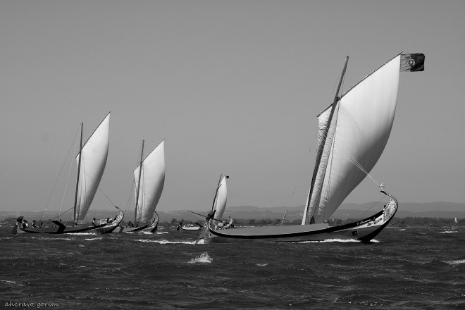 0 ahcravo_DSC_6384 regata moliceiros bw