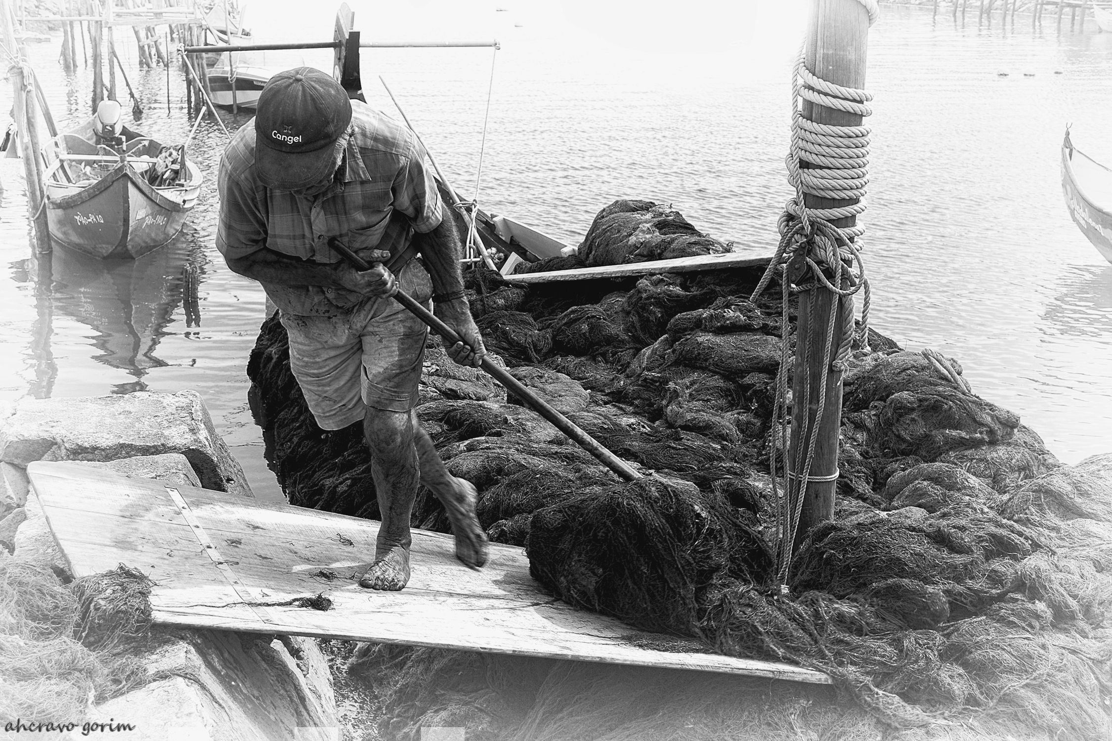 0 DSC_6124 moliceiro zé rebeço bw