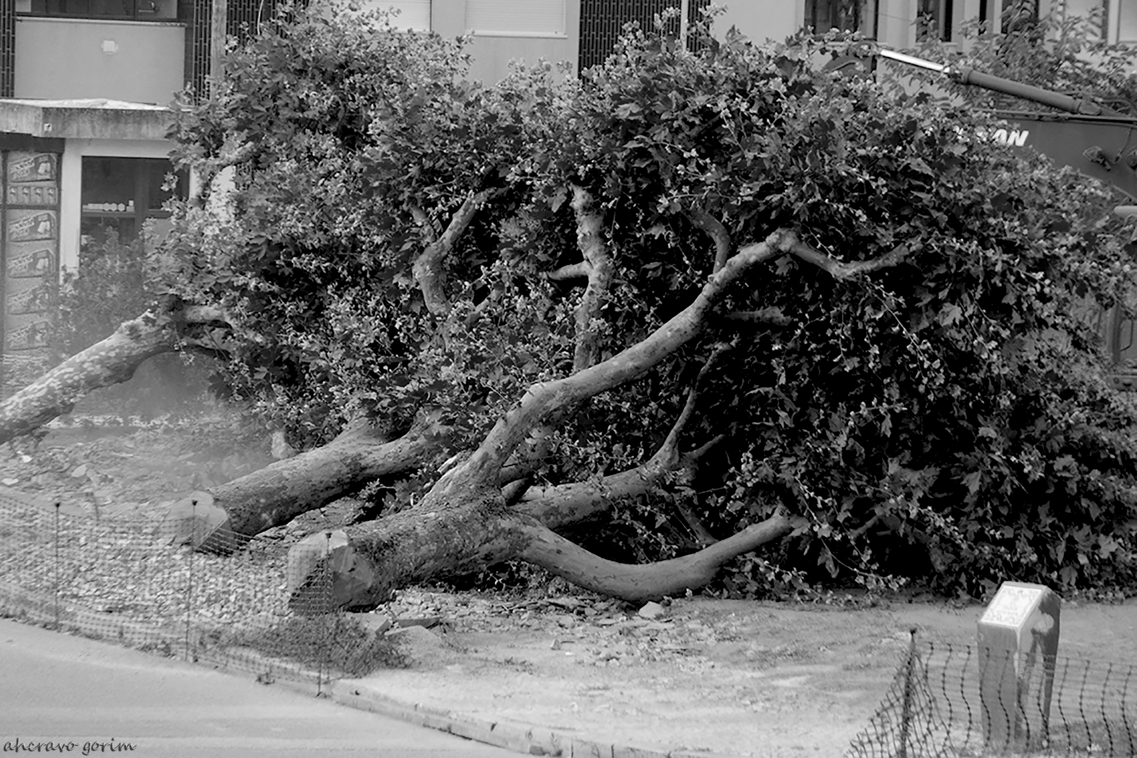 0 ahcravo_DSC_3723 bw