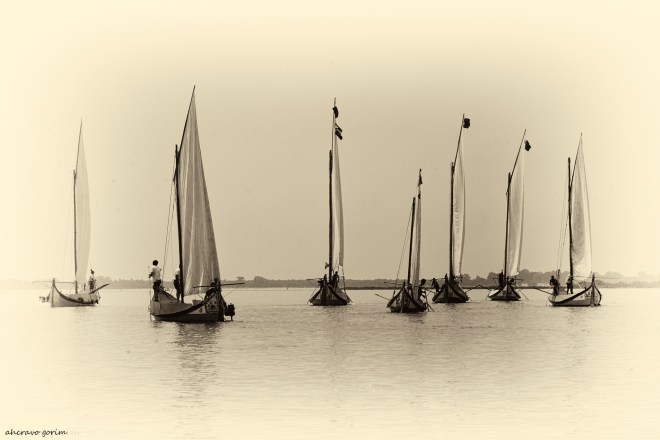 0 ahcravo_ DSC_2748 sep