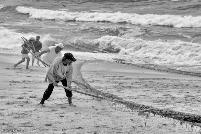 0 ahcravo_ DSC_4098 bw