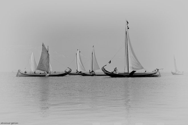 0 ahcravo_DSC_2277 bw