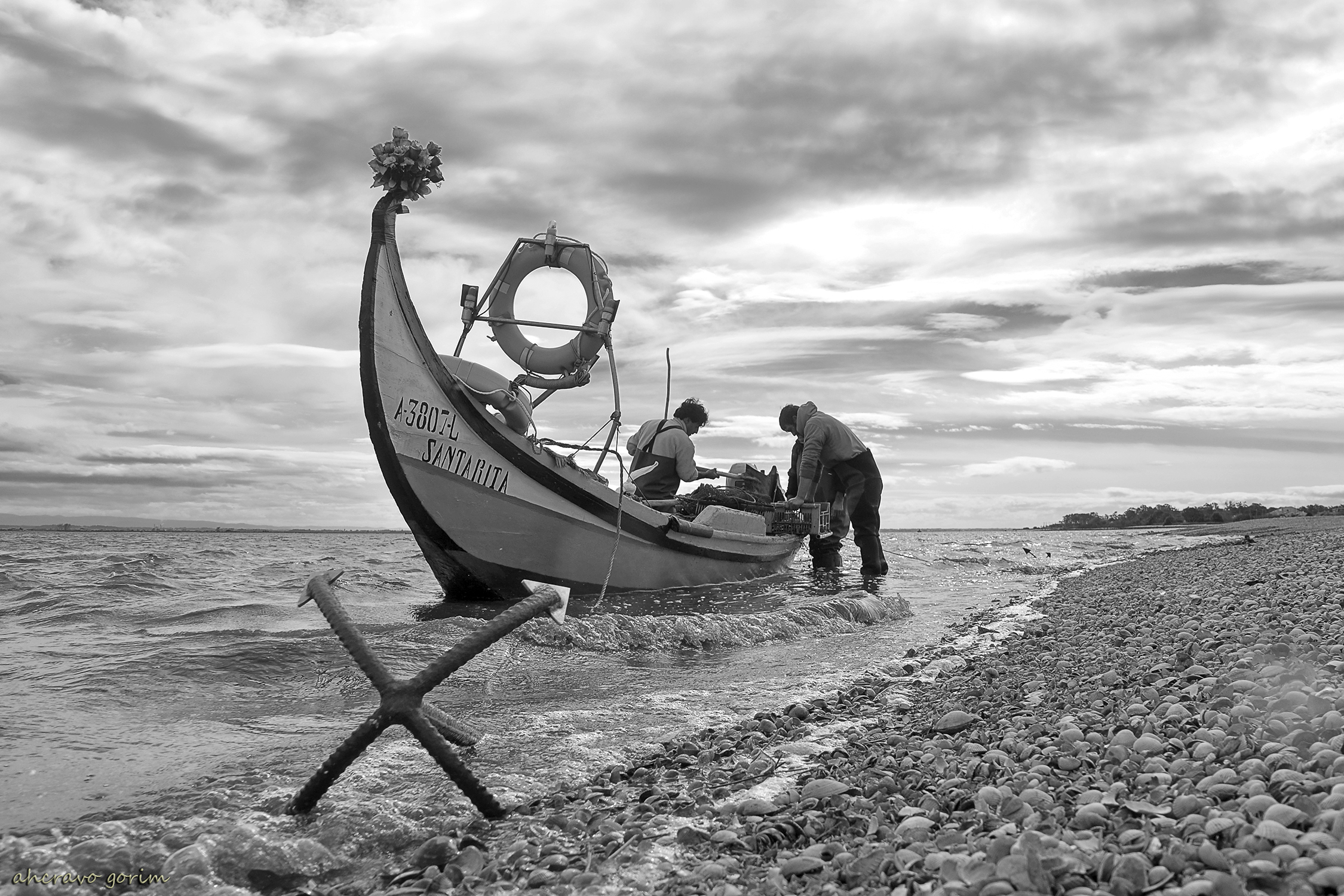 0 ahcravo_DSC_2373 bw