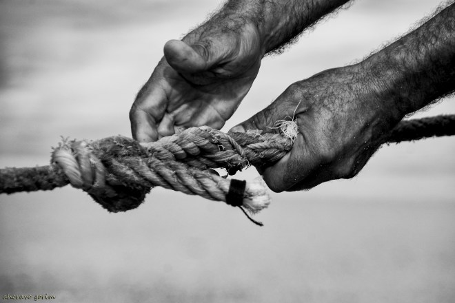 0 ahcravo_DSC_2391 s