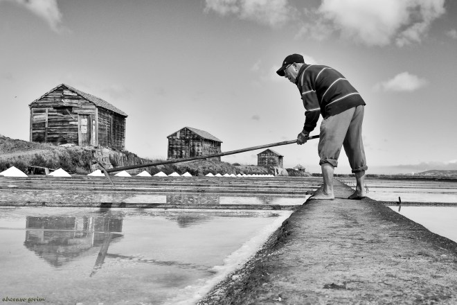 0 ahcravo_DSC_3781 buíça