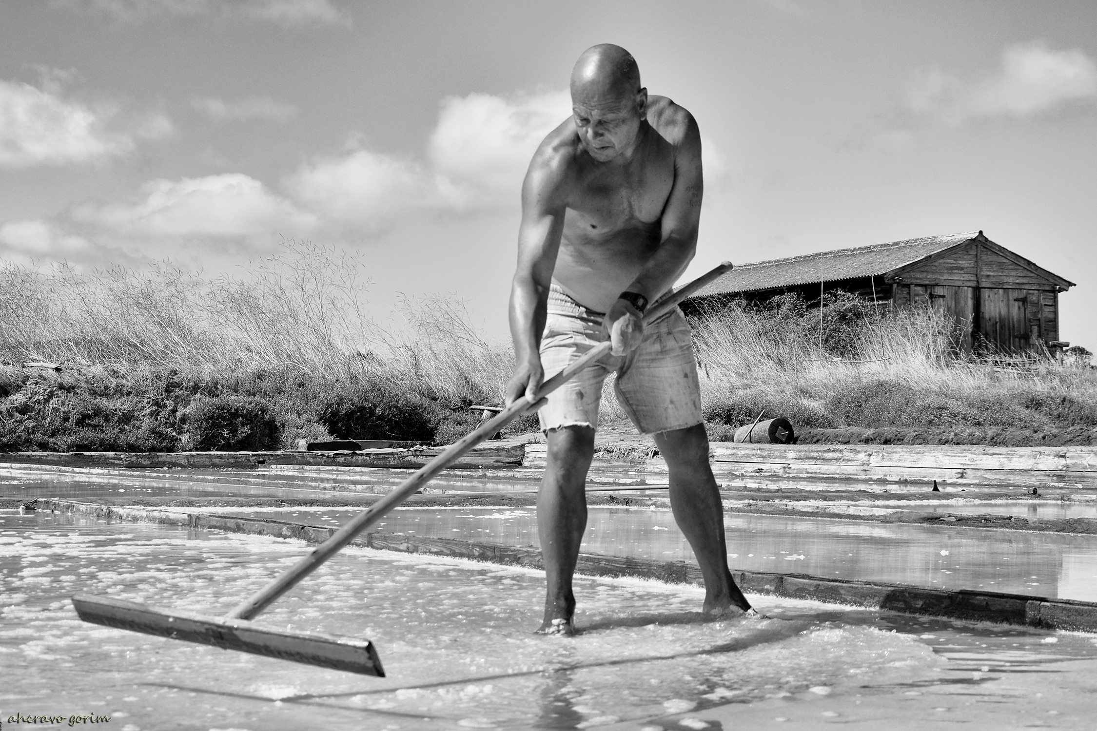 0 ahcravo_DSC_3802 licínio