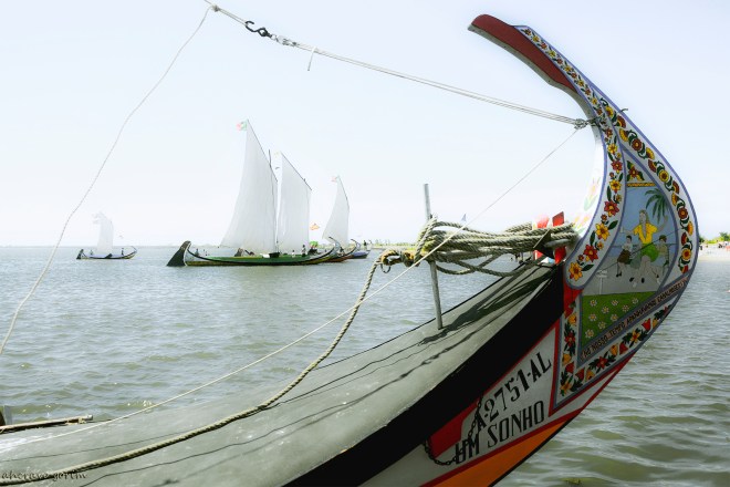 0 ahcravo_DSC_4075 s