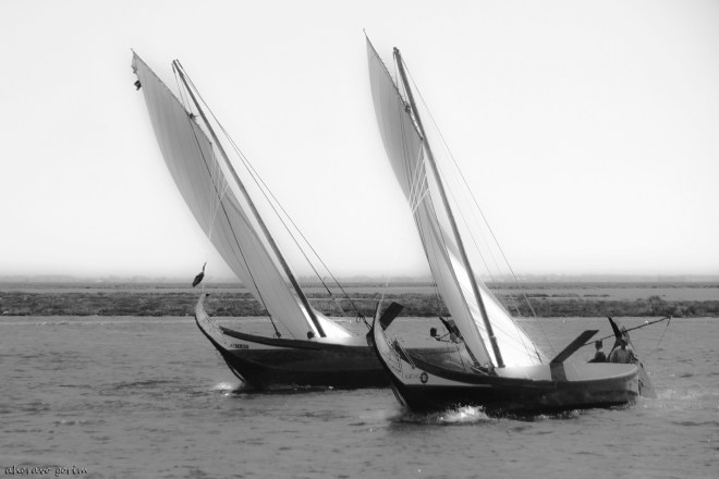 0 ahcravo_DSC_4174 s bw