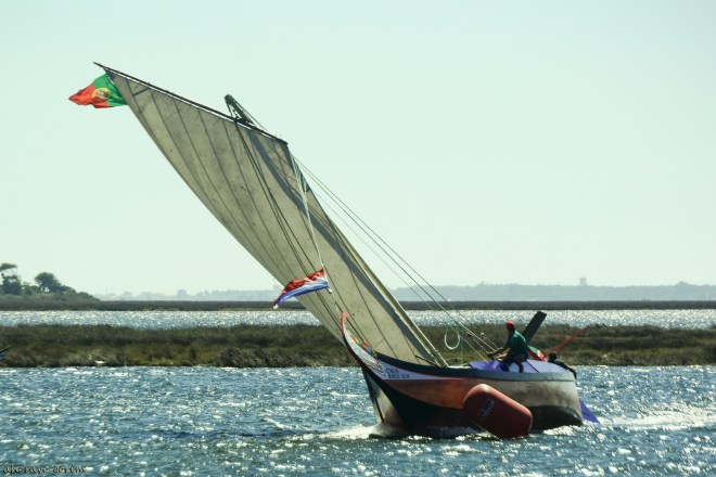 0 ahcravo_DSC_4216 s