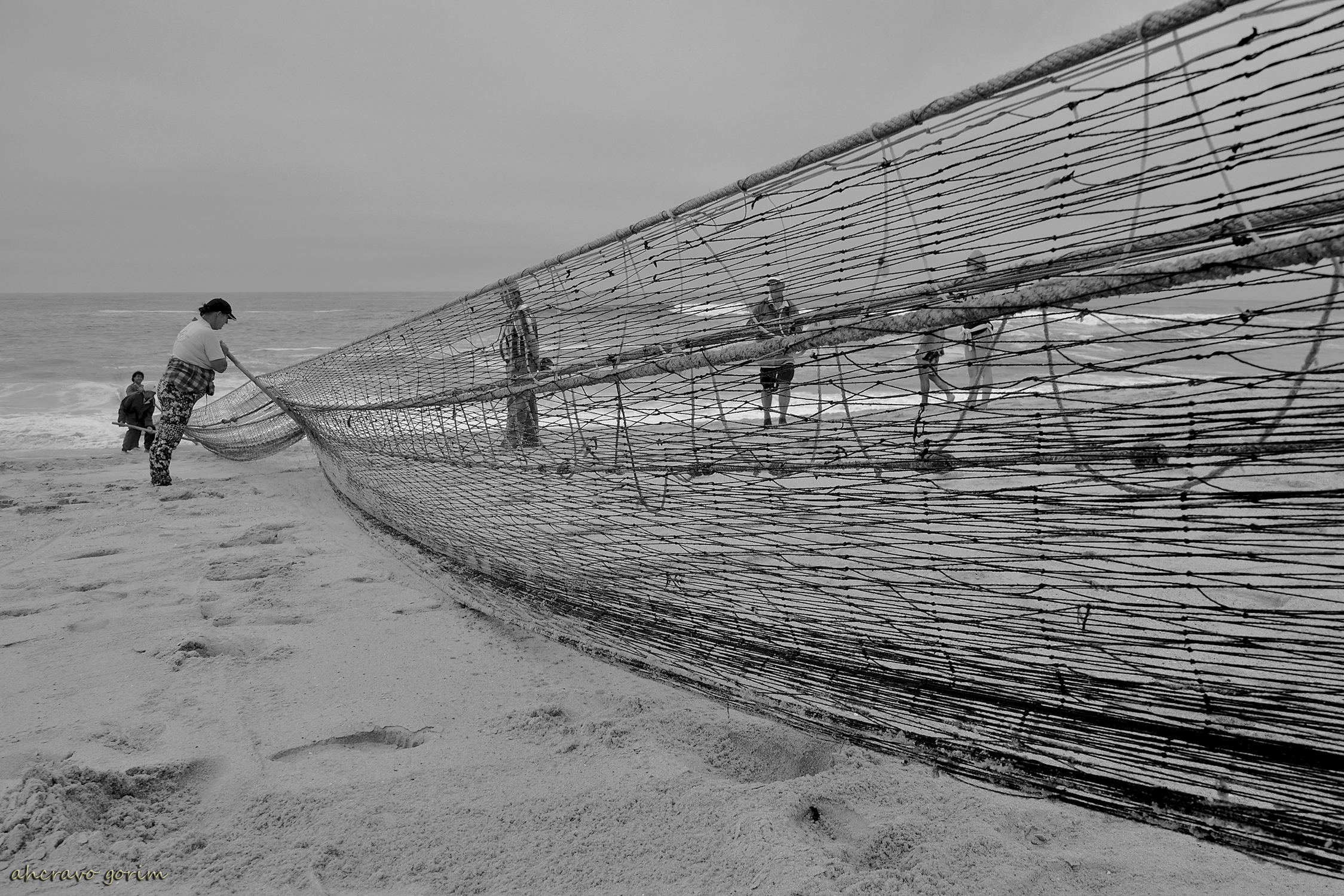 0 ahcravo_DSC_2531 bw