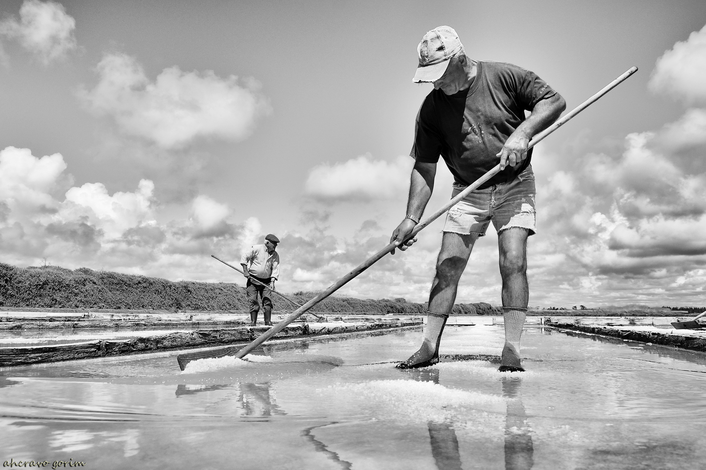 0 ahcravo_DSC_3358 romão
