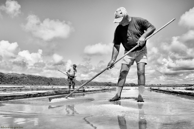 0 ahcravo_DSC_3358 romão