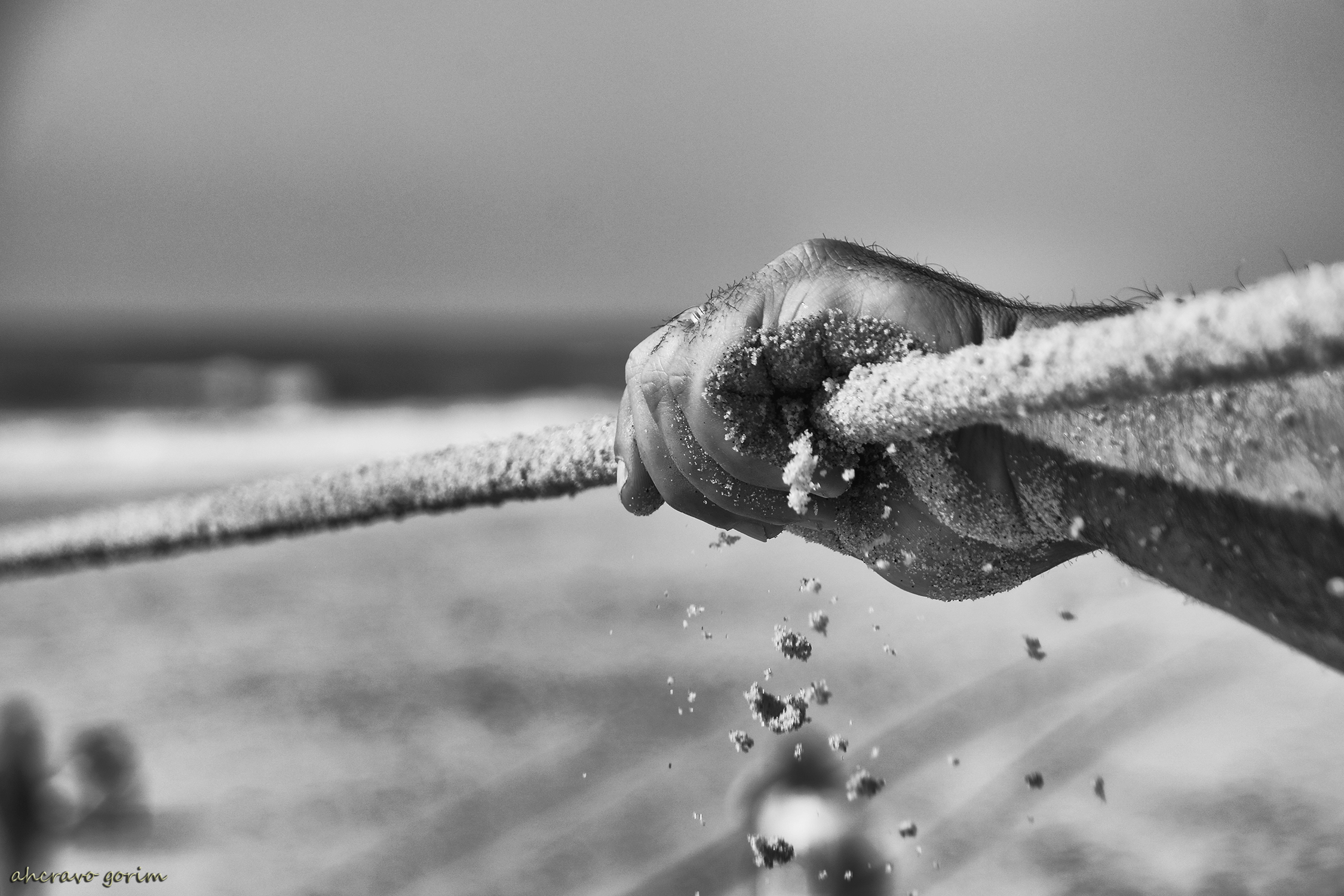 0 ahcravo_DSC_4511 s