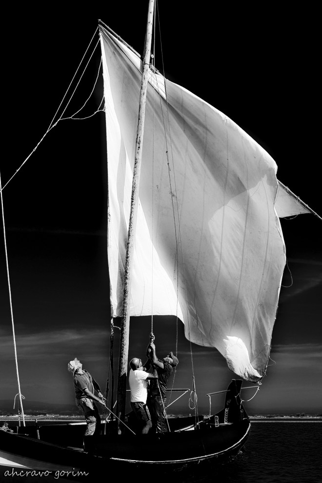 0 ahcravo_DSC_5578 bw