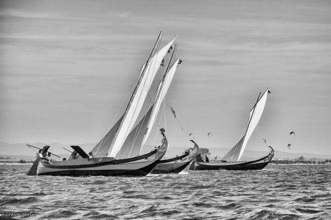 0 ahcravo_DSC_5822 s bw