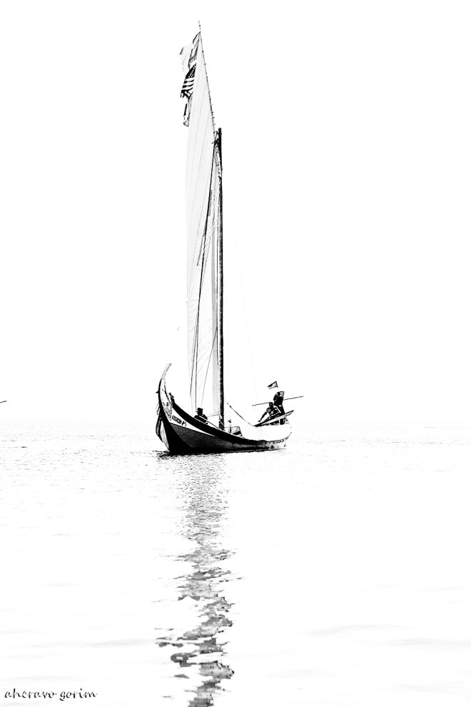 0 ahcravo_ DSC_2278 bw