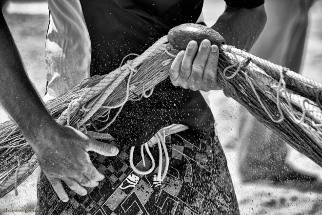 0 ahcravo_DSC_2307 s