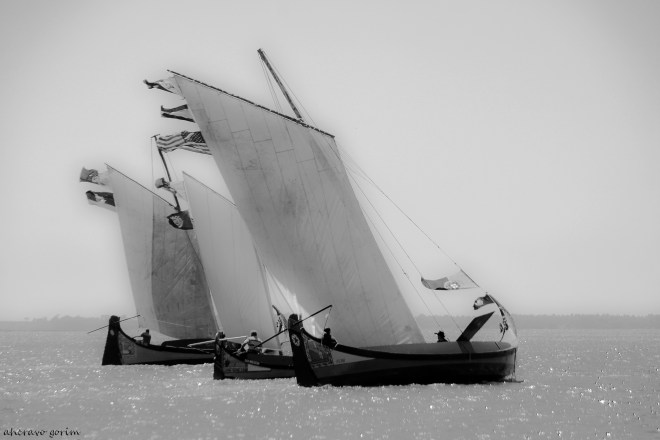 0 ahcravo_DSC_4095 s bw