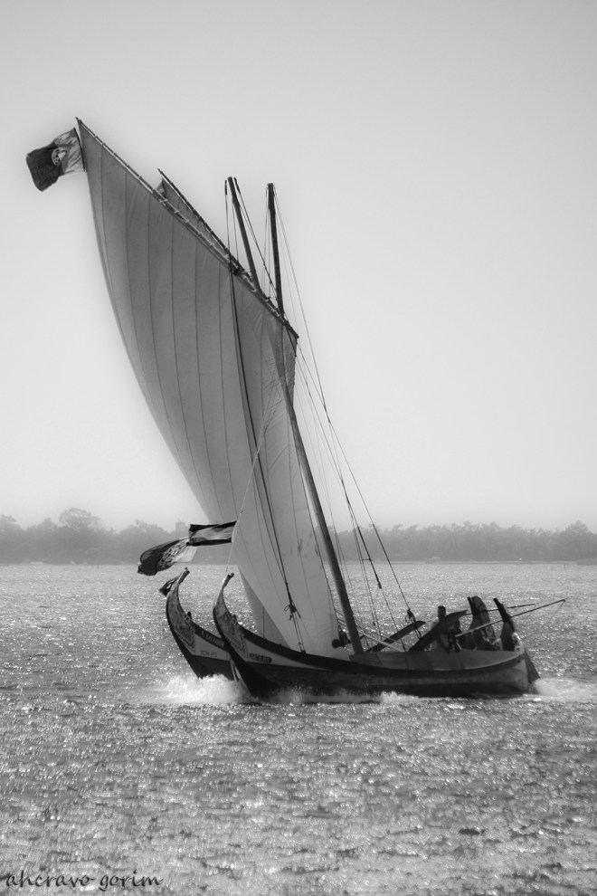 0 ahcravo_DSC_4257 s bw