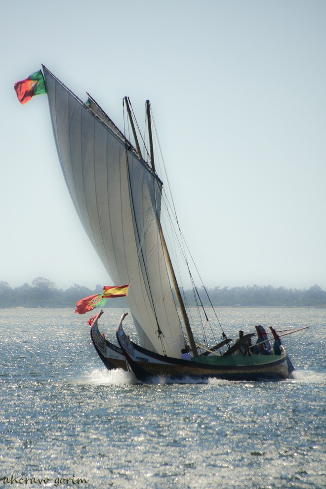 0 ahcravo_DSC_4257 s