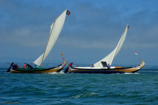 0 ahcravo_DSC_2085 s