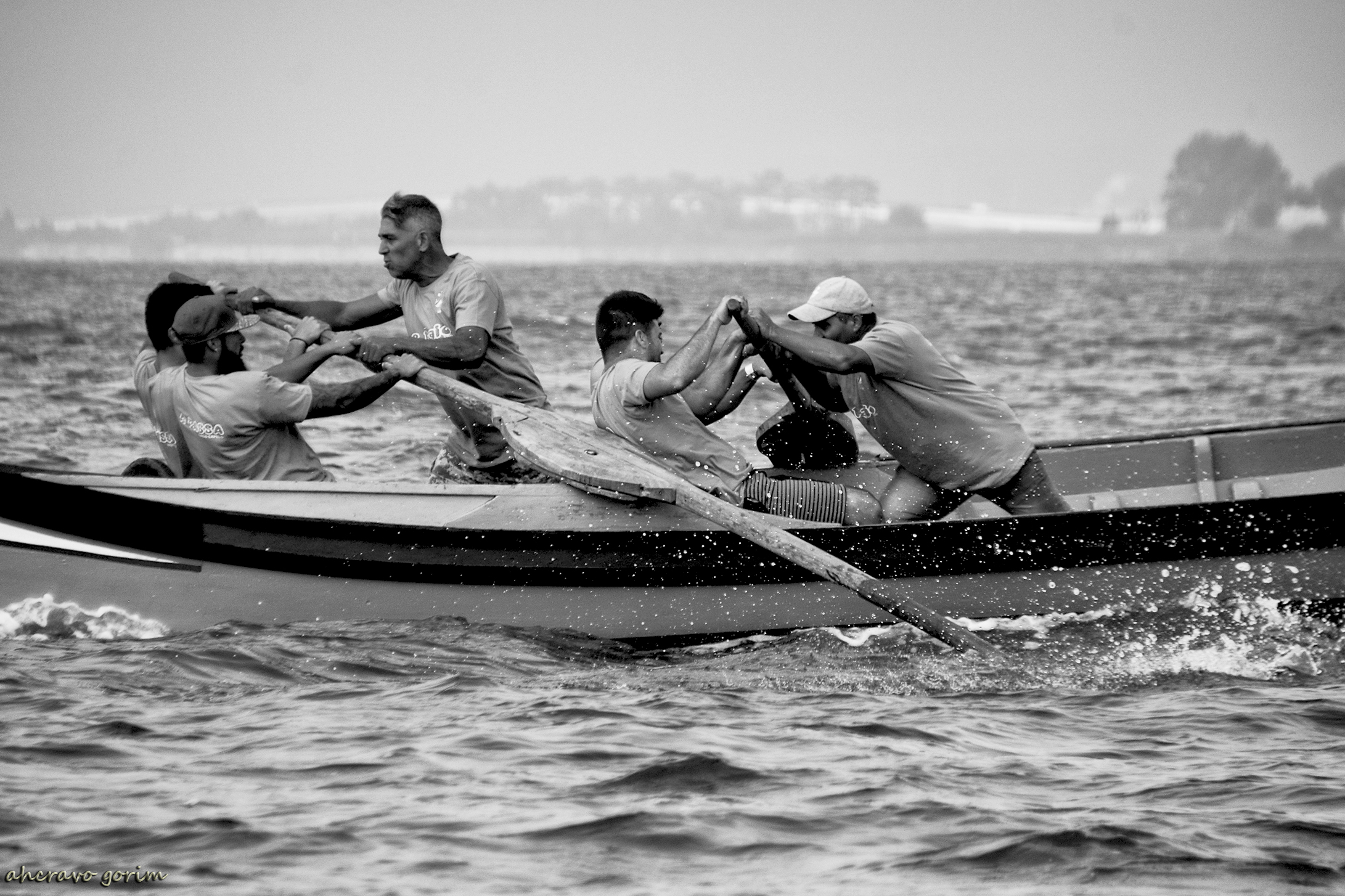 0 ahcravo_DSC_6261 s