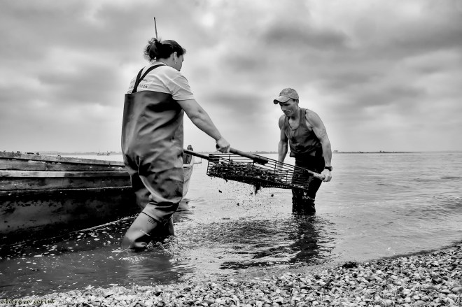 0 ahcravo_ DSC_8519 s bw