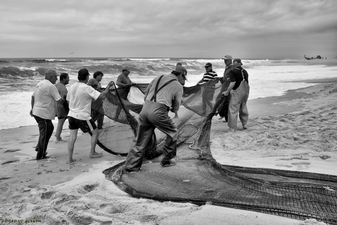 0 ahcravo_DSC_2596 s