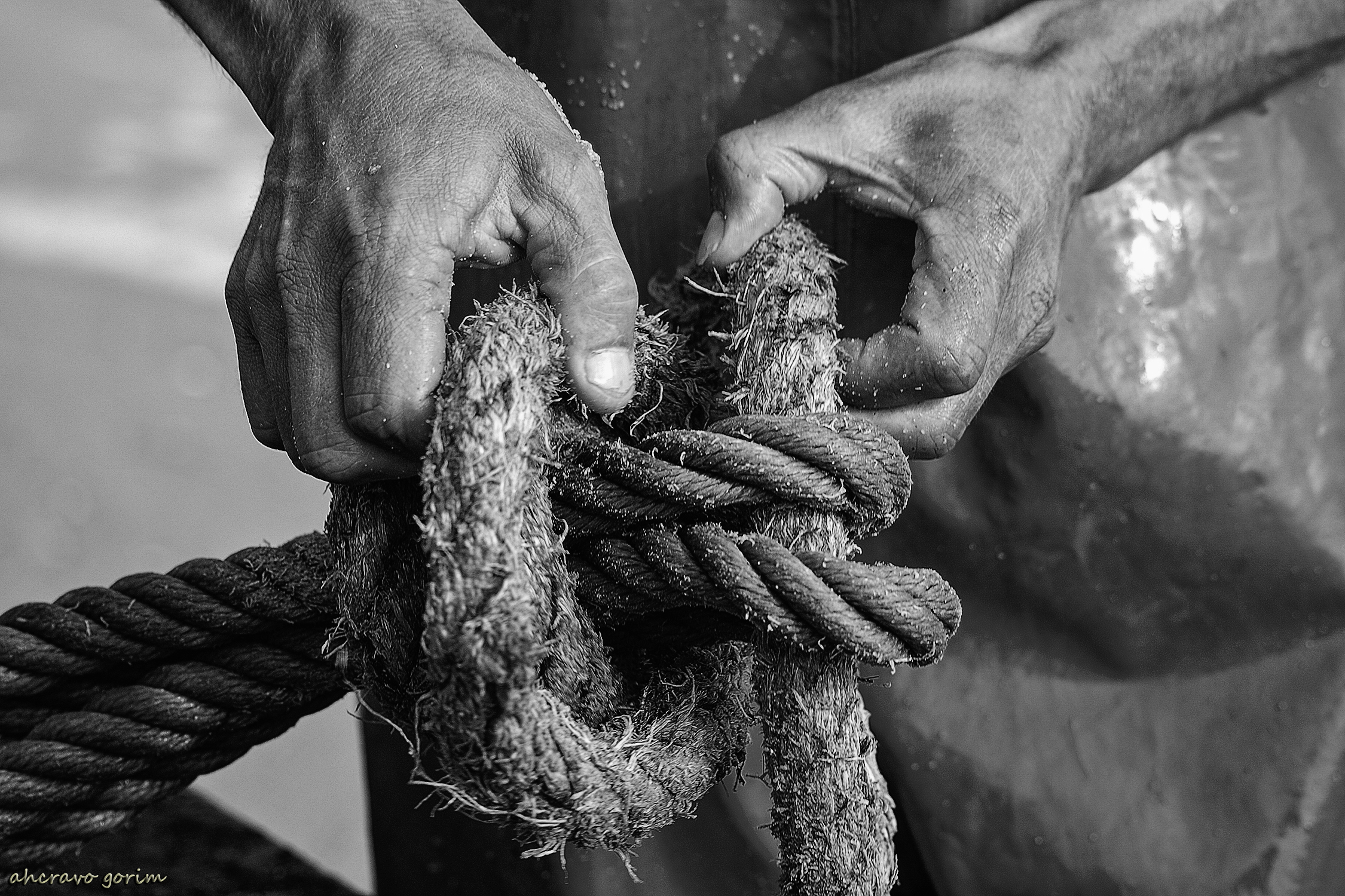 0 ahcravo_DSC_2671 s.josé s