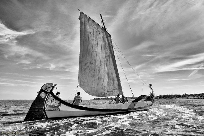 0 ahcravo_DSC_5608 bw