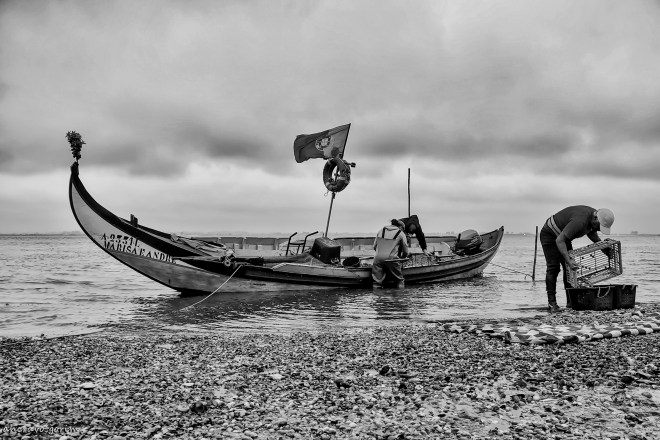 0 ahcravo_DSC_7272 s bw