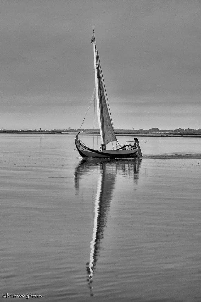 0 ahcravo_DSC_7777 s bw