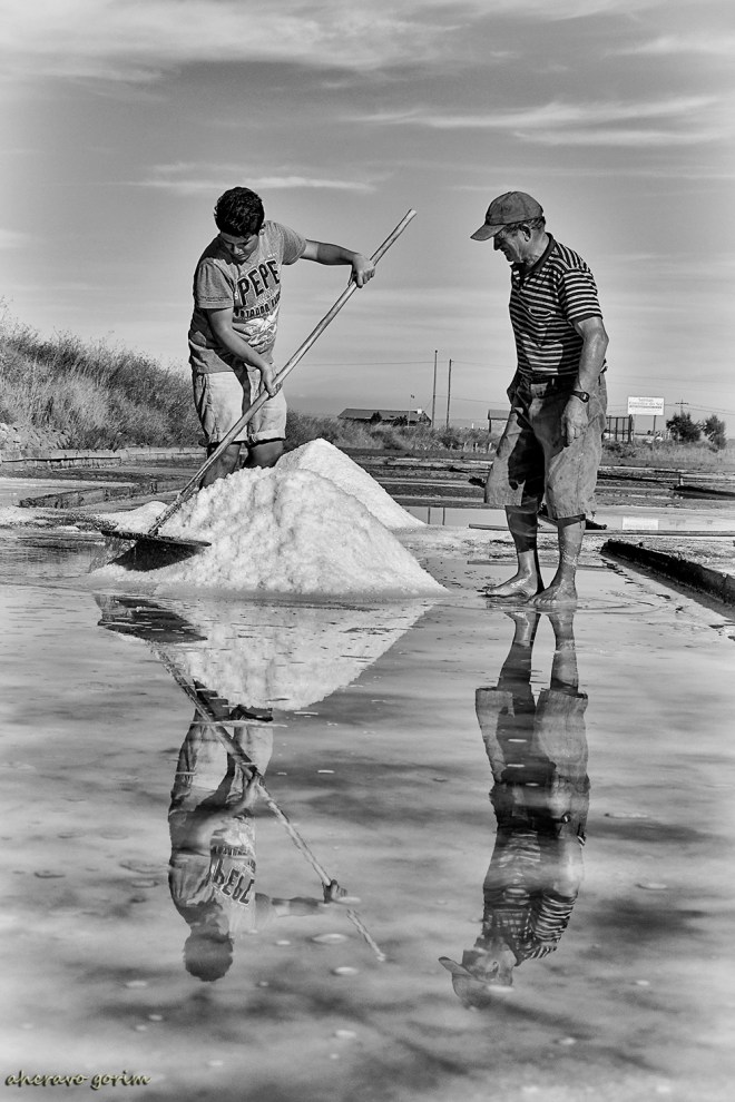 0 ahcravo_DSC_1240 s