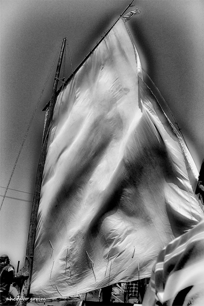 0 ahcravo_DSC_2483 s bw