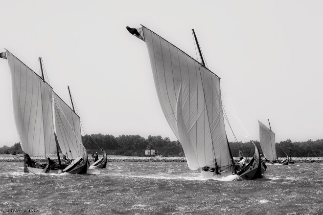 0 ahcravo_DSC_6406 regata moliceiros bw