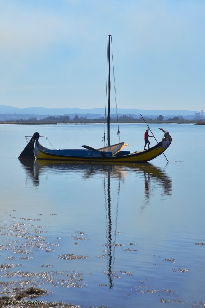 0 ahcravo_DSC_7744 s