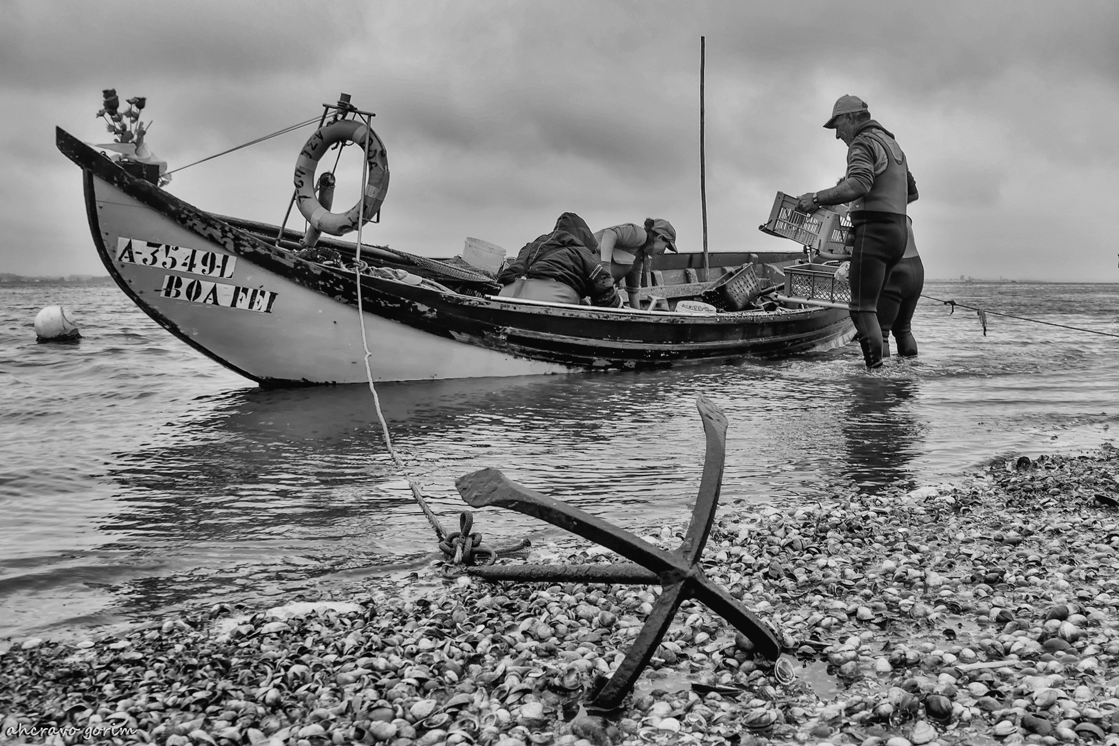 0 ahcravoDSC_7288 s bw.jpg