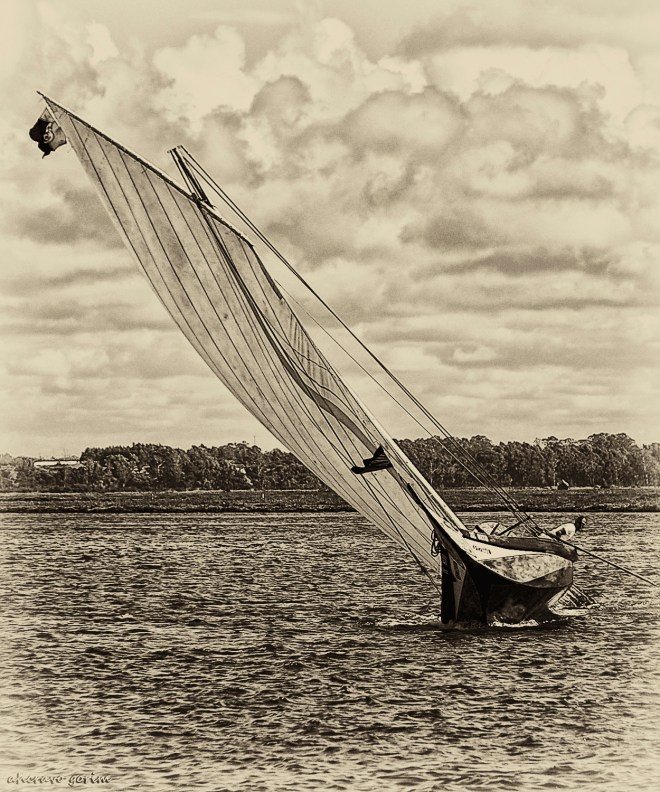 0 ahcravo_DSC_1575 s sep