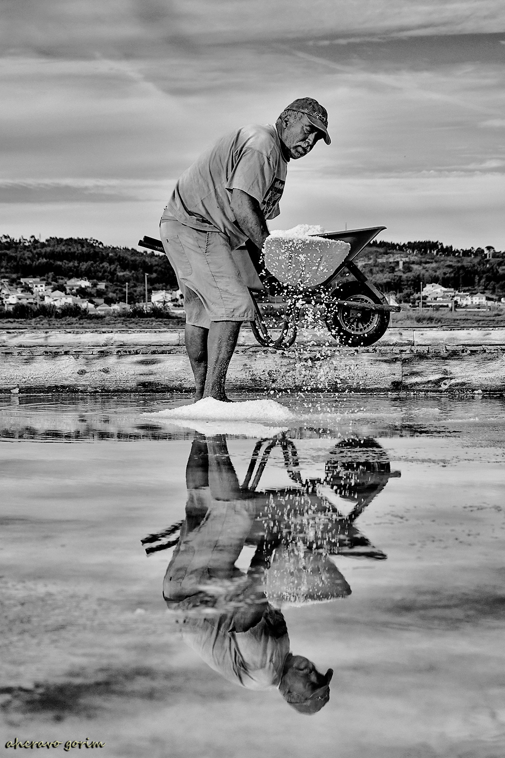 0 ahcravo_DSC_1735 s