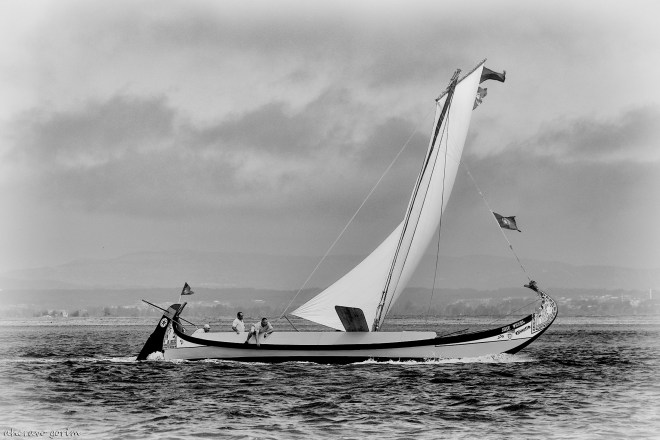 0 ahcravo_DSC_2117 bw