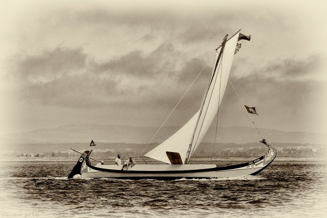 0 ahcravo_DSC_2117 sep