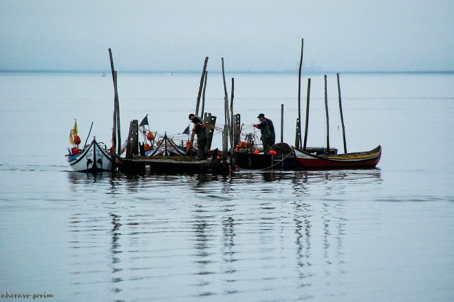 0 ahcravo_DSC_7860 s