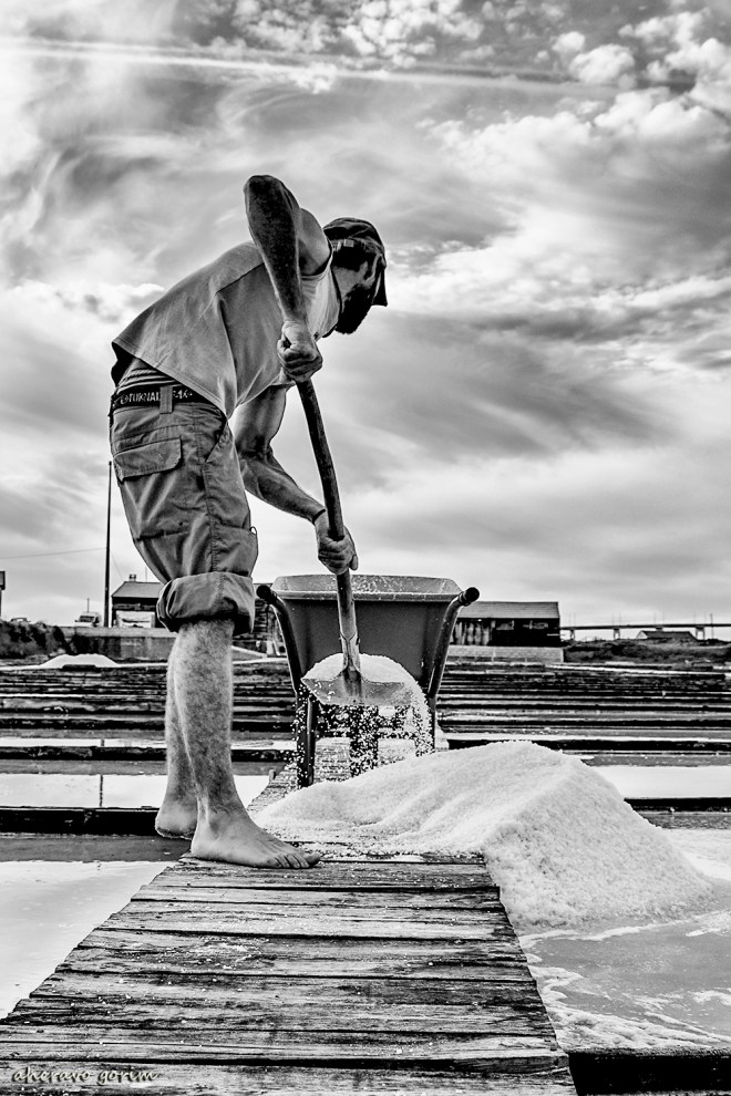 0 ahcravo_DSC_1791.jpg