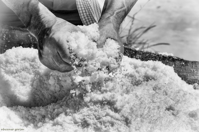 0 ahcravo_DSC_3431 s