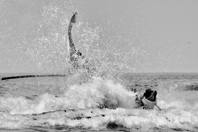 0 ahcravo_DSC_3511 s bw_2013