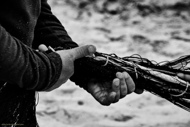 0 ahcravo_DSC_4175 s