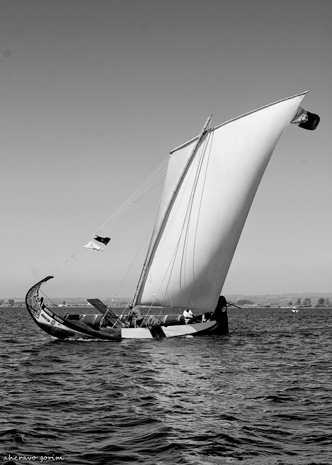 0 ahcravo_DSC_4309_torreira s paio 2010 bw