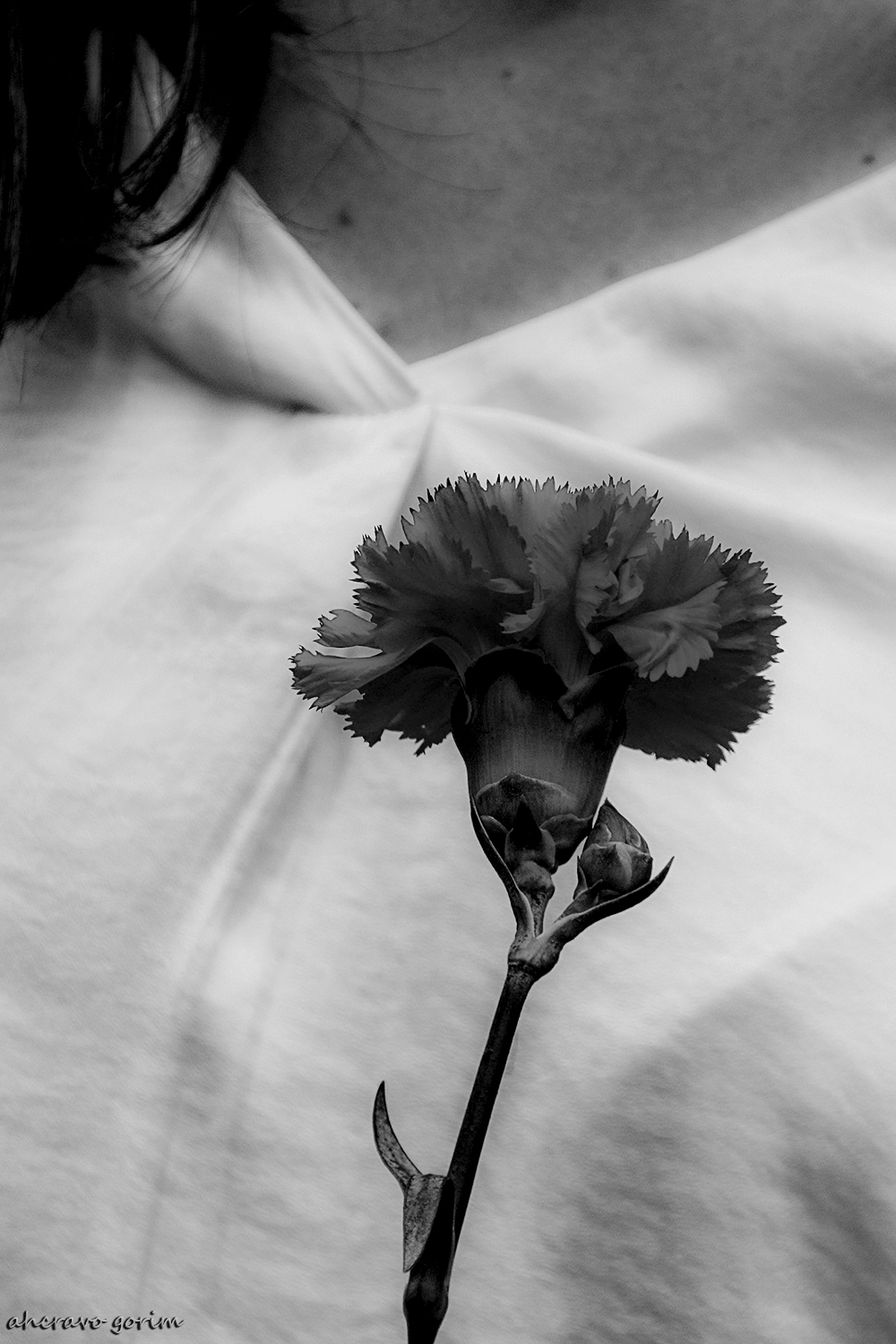 0 ahcravo_DSC_1583 bw