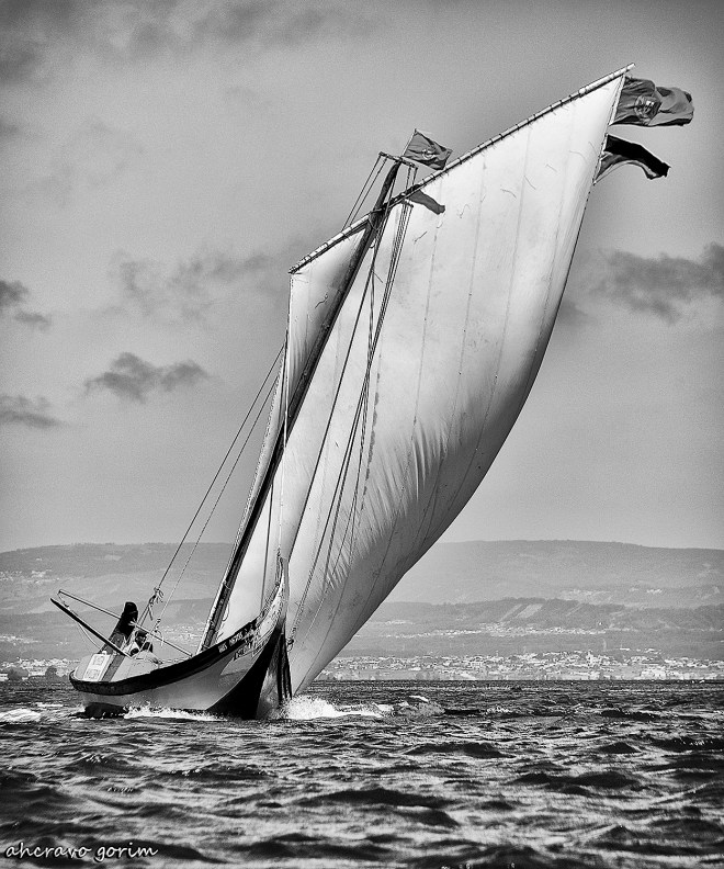 0 ahcravo_DSC_2070 bw