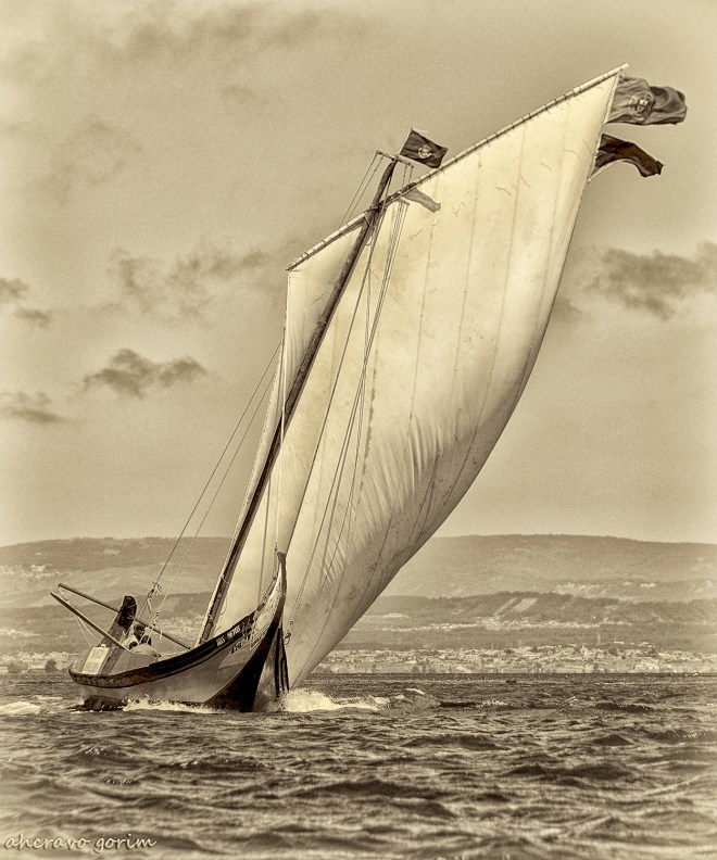 0 ahcravo_DSC_2070 sep